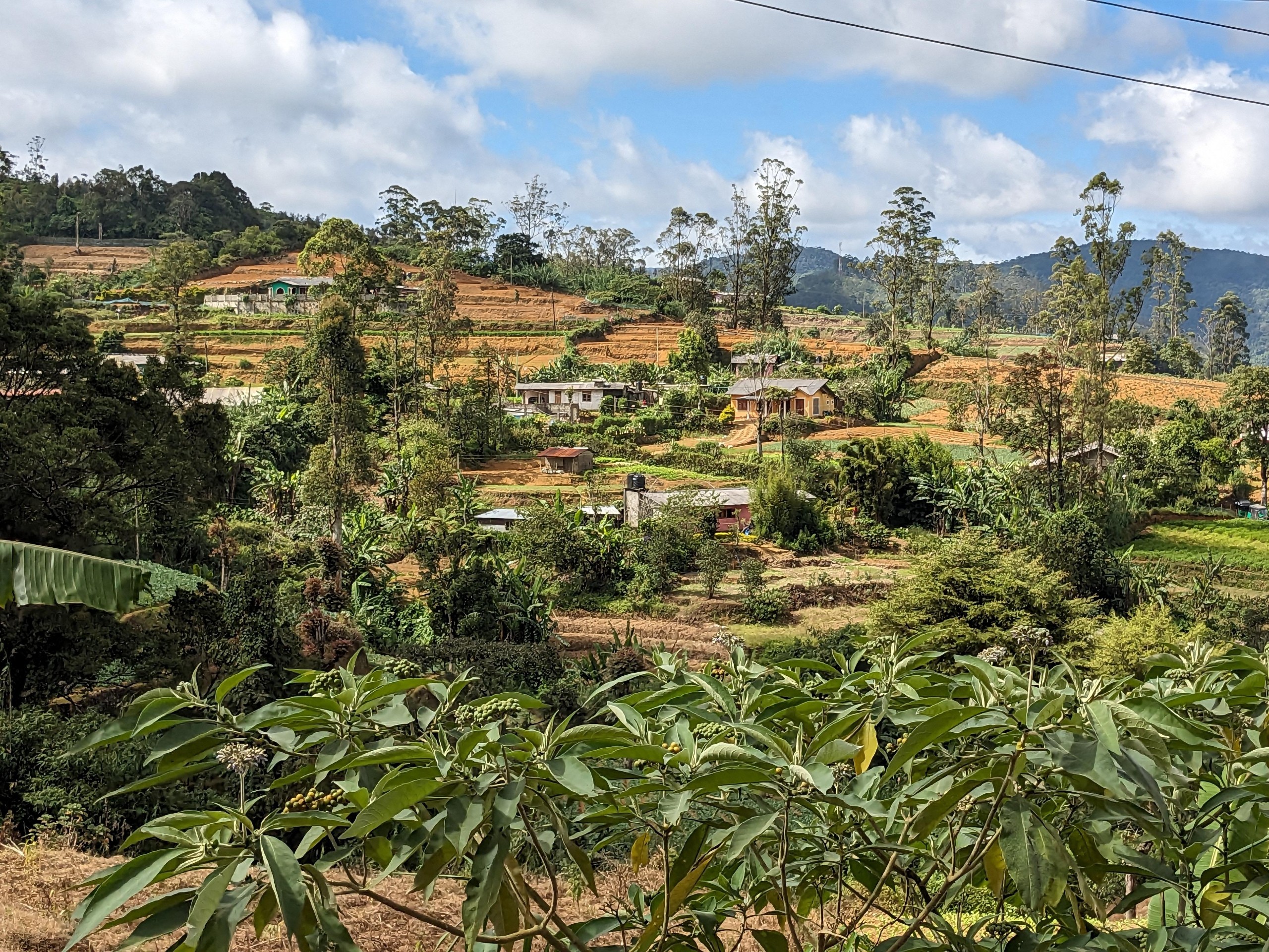 img21_SriLanka
