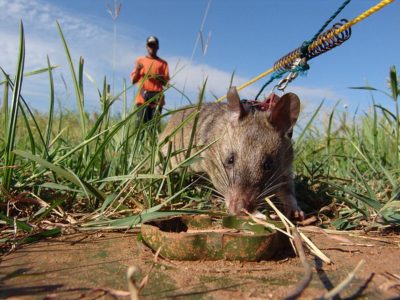 Angola_img23