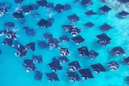 Maldivas_img033 Maldivas_img033