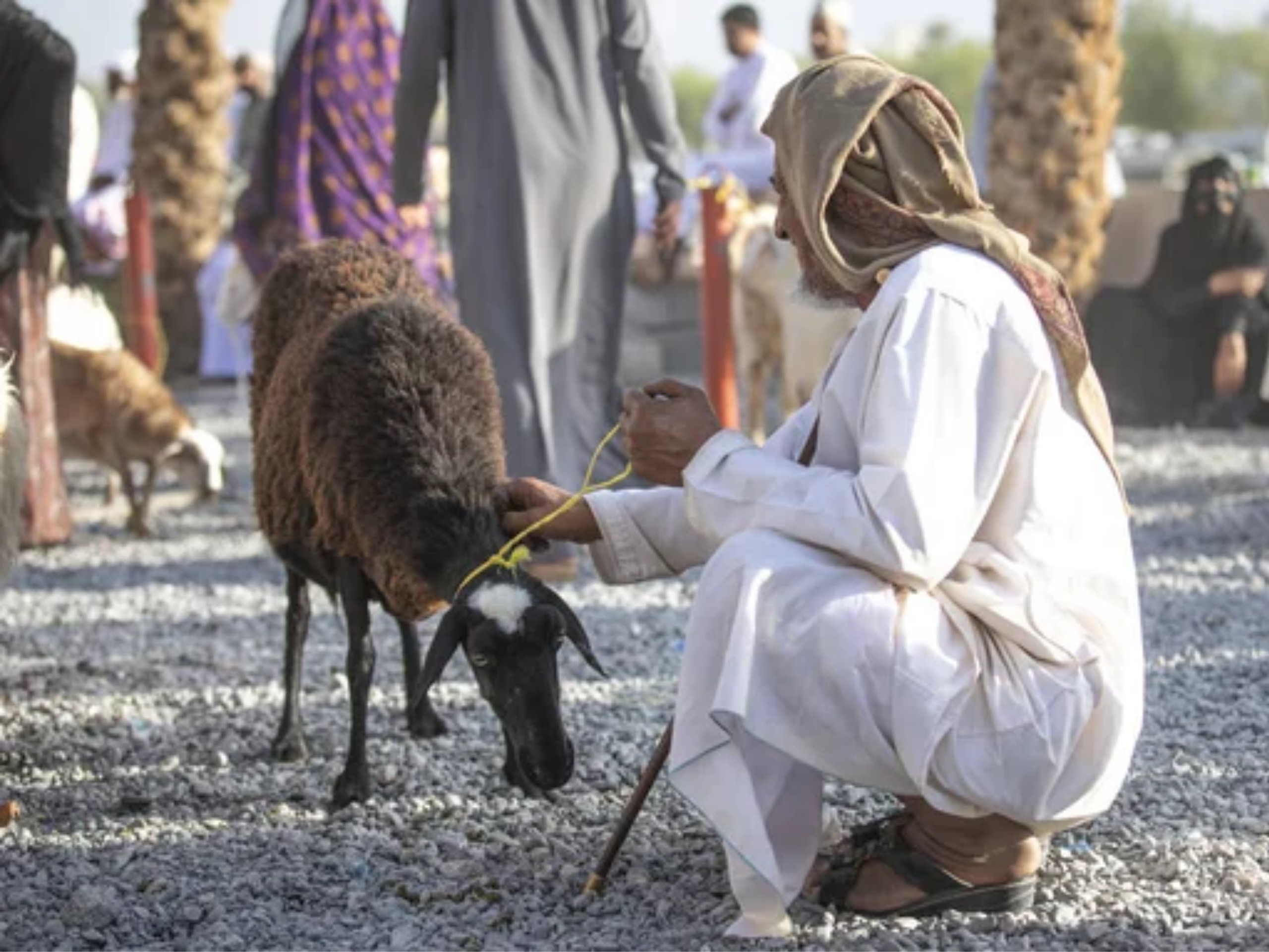 Oman_img123