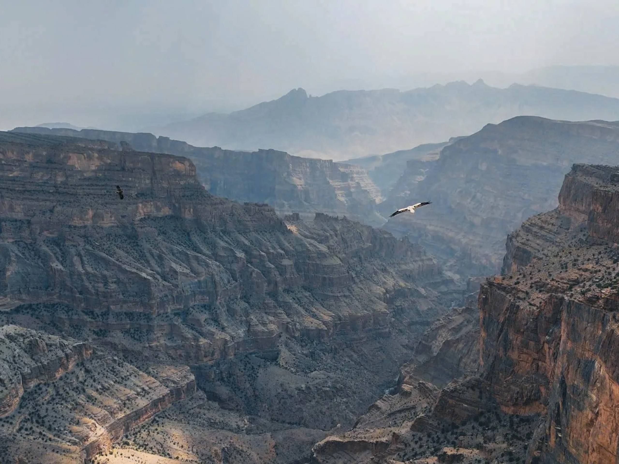 Oman_img139
