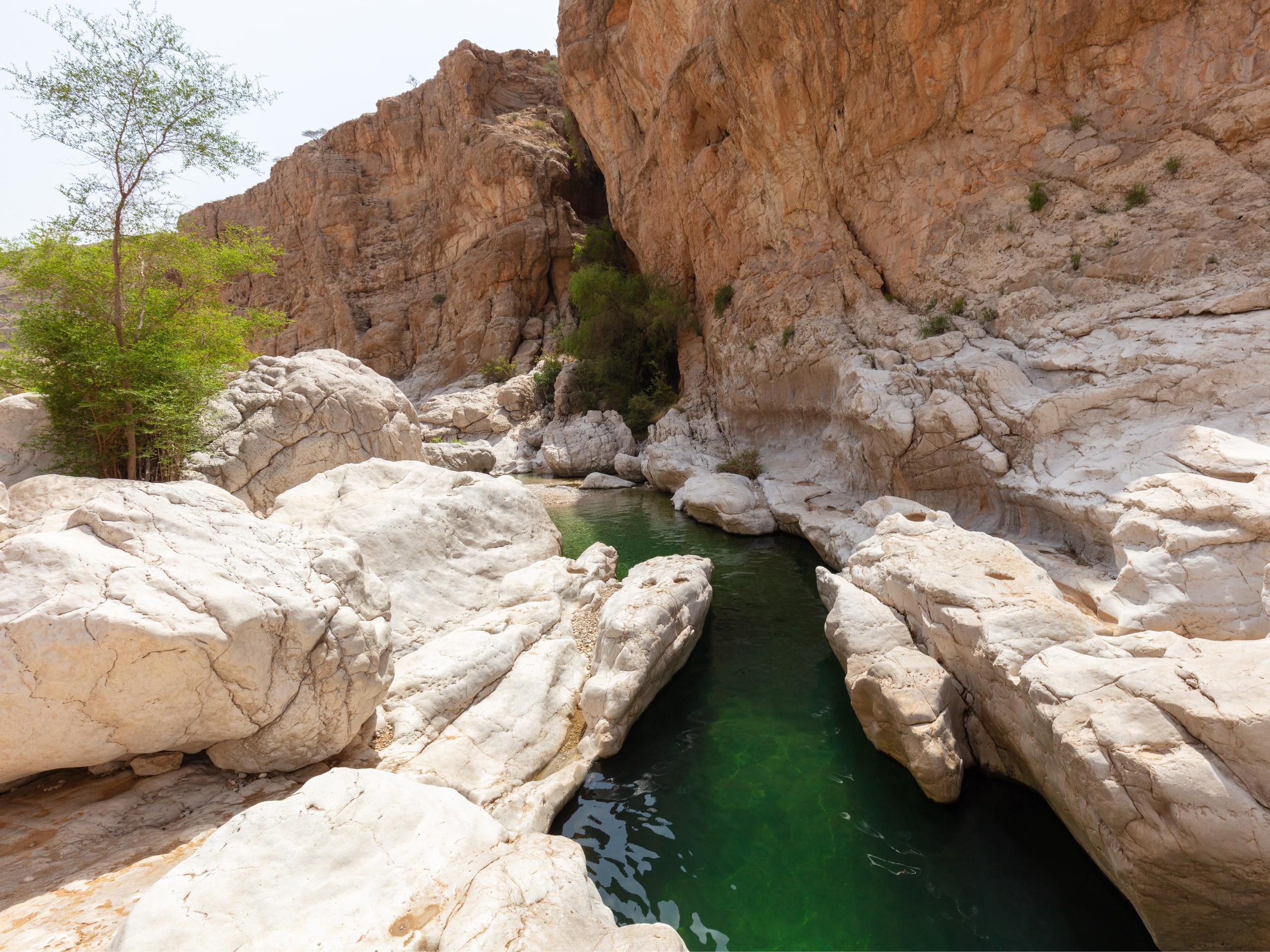 Oman_img149