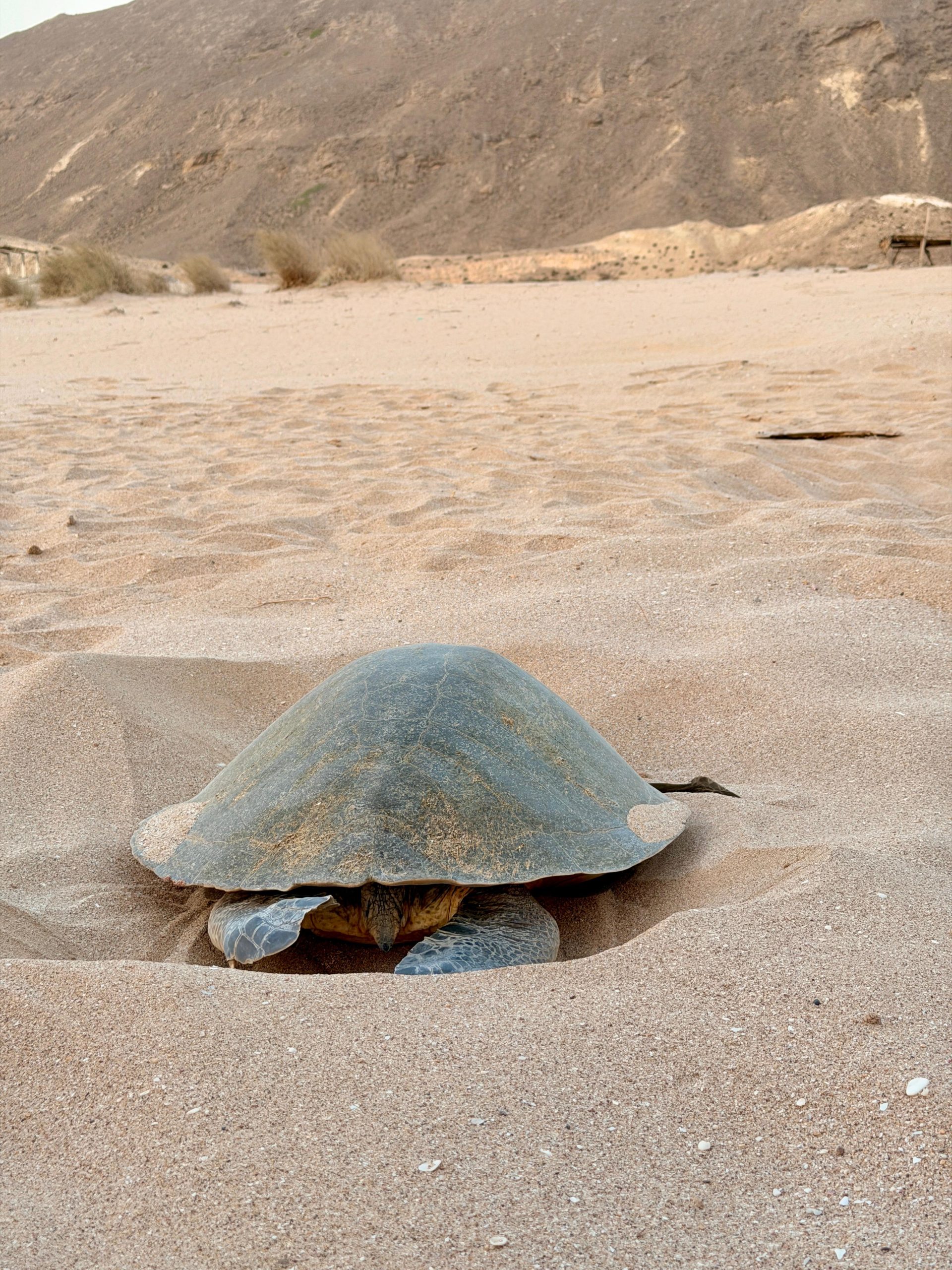 Oman_img160