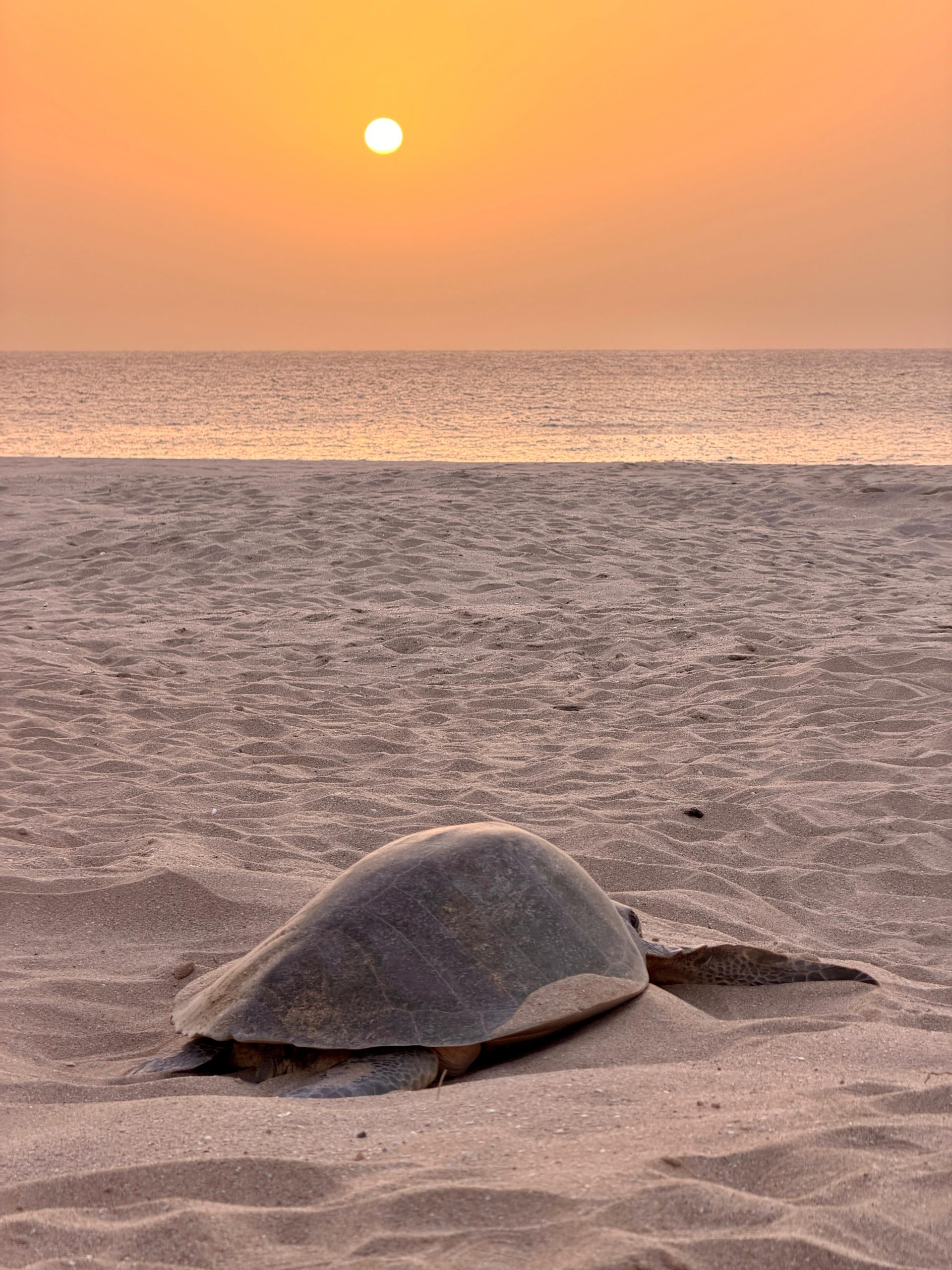 Oman_img161