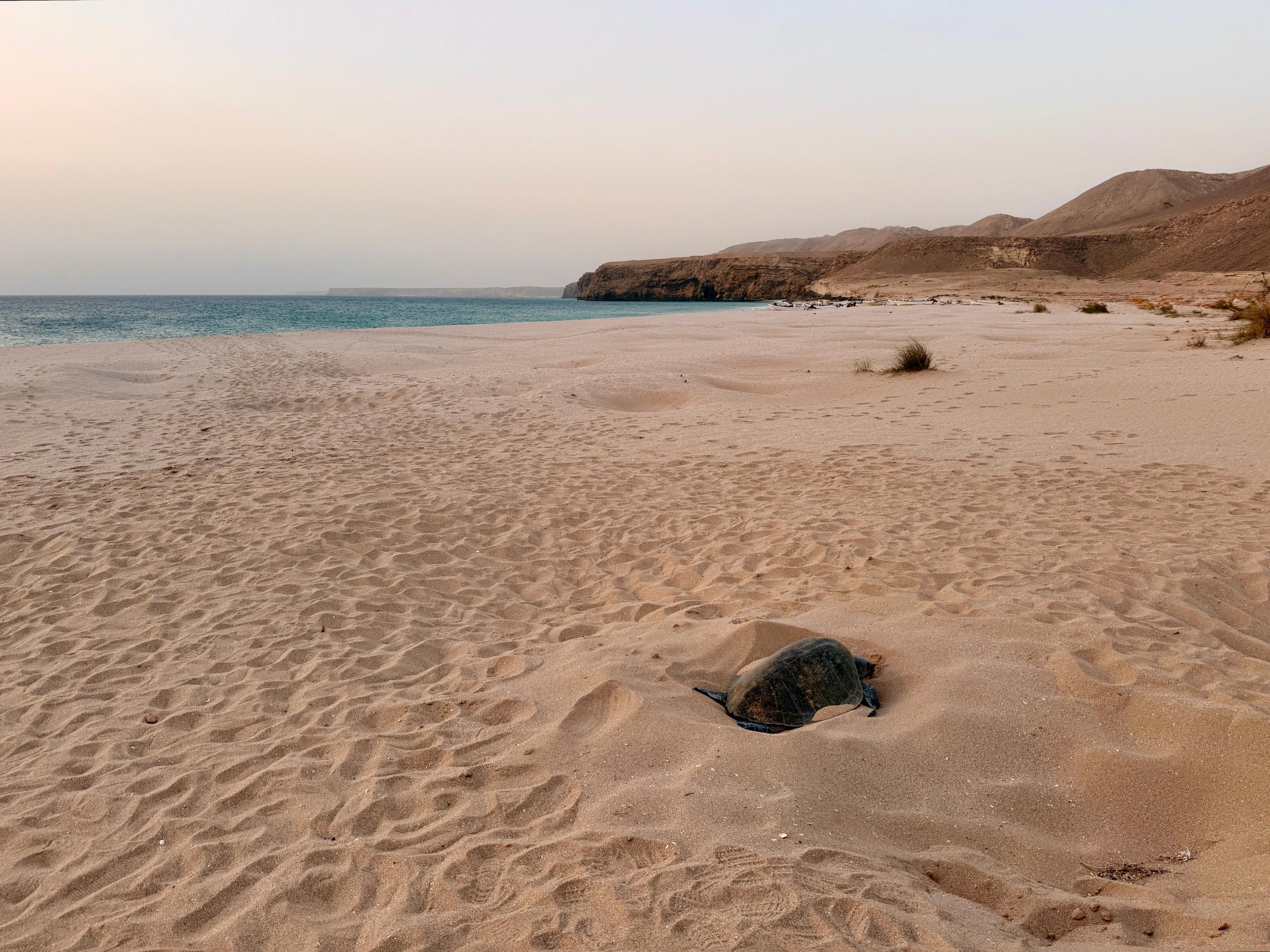 Oman_img163