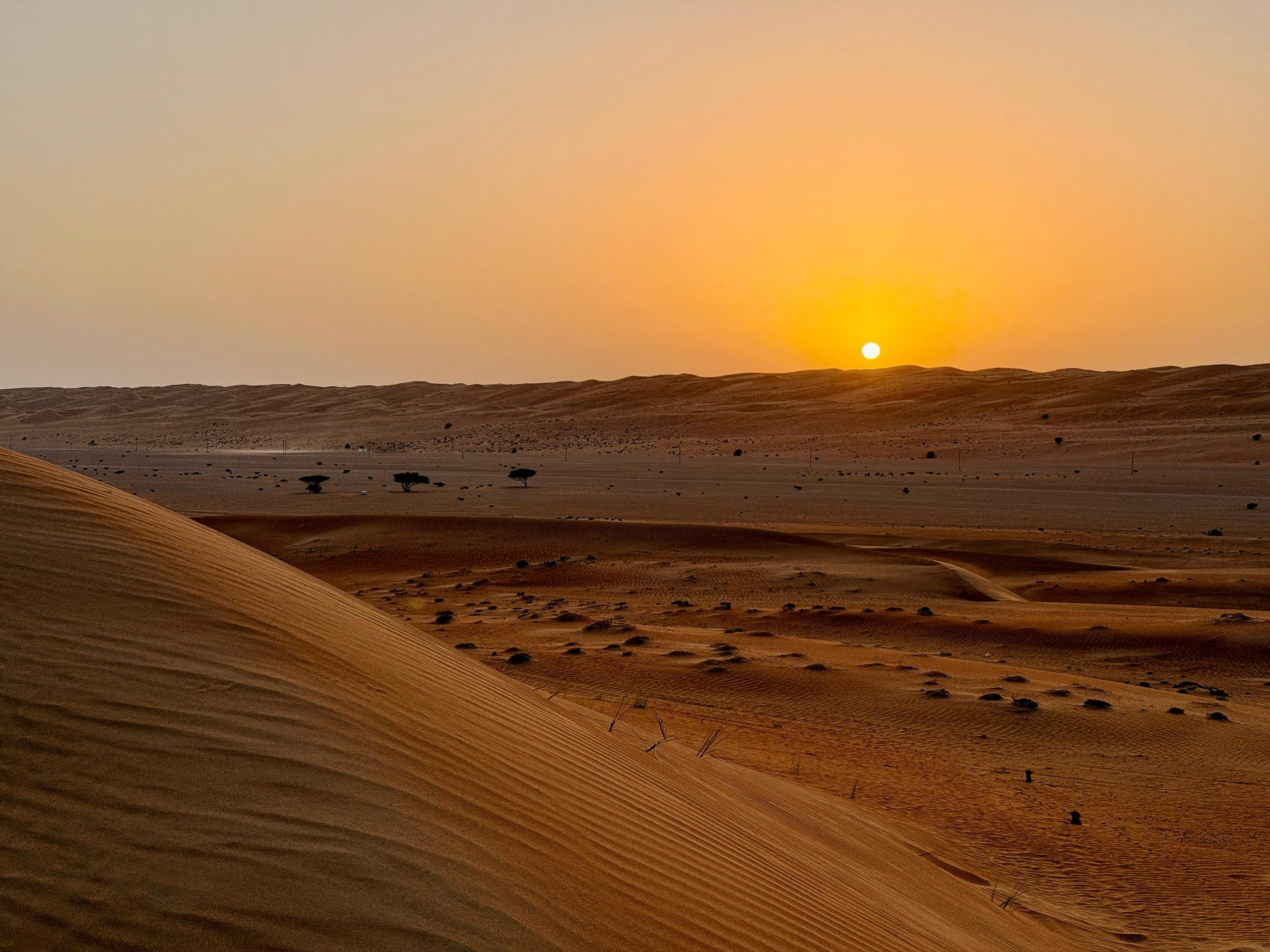 Oman_img174